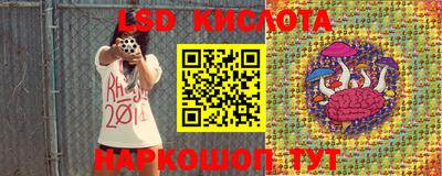 прущие грибы Первоуральск