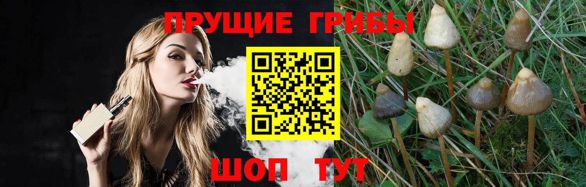 Галлюциногенные грибы прущие грибы  Псилоцибиновые грибы прущие грибы  Вход с VPN  Усть-Кут 